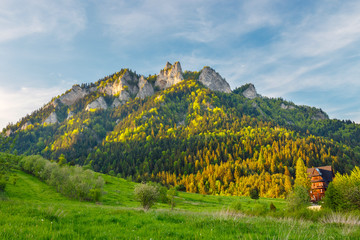 Spring in the Pieniny with Three Crowns mountain in the background © dziewul