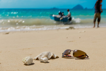 Fototapeta na wymiar Sunglasses and shell on tropical beach with departing boat
