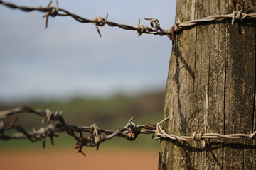  Barbed wire