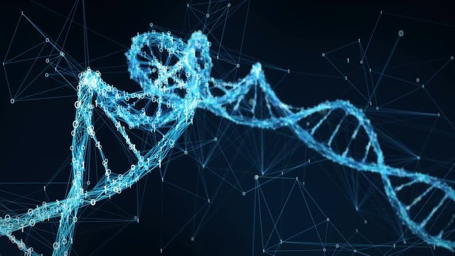 Abstract representation of digital binary plexus DNA molecule . For visuals, biology, biotechnology, chemistry, science, Medicine, cosmetics or as motion background. Seamless Loop.