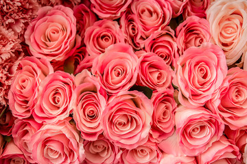 A bouquet of beautiful roses soft pink color presented on a beautiful background