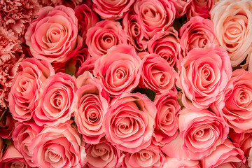 Fototapeta premium A bouquet of beautiful roses soft pink color presented on a beautiful background