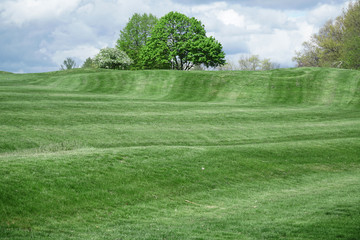 spring green lawn in golf course with trees and community building
