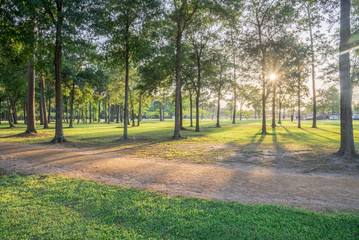 Beautiful view of urban park in Texas, America. Green grass lawn, huge pine trees and walking/running trail illuminated by sunshine alley during sunset. Parking lot in distance, composition of nature. © trongnguyen