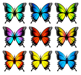 Obraz premium Colorful butterflies set. Vector.
