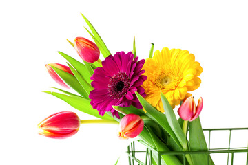 Bouquet of tulips and gerberas. The image is isolated. Selective focus.