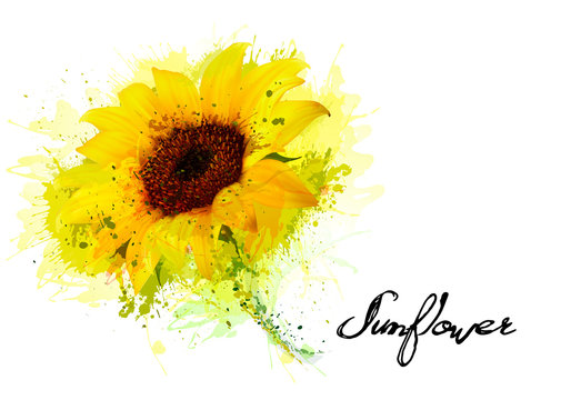 Nature background with yellow sunflower. Vector