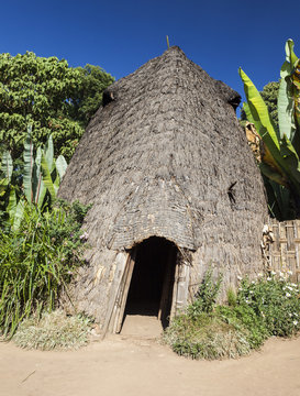 Elephant head like traditional Dorze house. Hayzo village, Omo Valley, Ethiopia