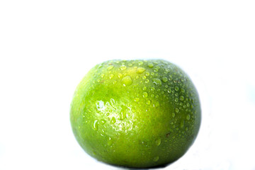 Green orange   on white background