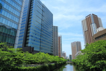 新緑の目黒川沿い桜並木と高層ビル群