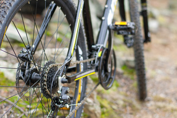 Rear wheel cassette from a mountain bike.