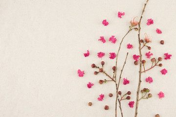 Pink crape myrtle petals with brown branches with copy space
