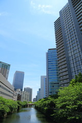 Fototapeta premium 目黒川沿いにそびえ立つ高層ビル群