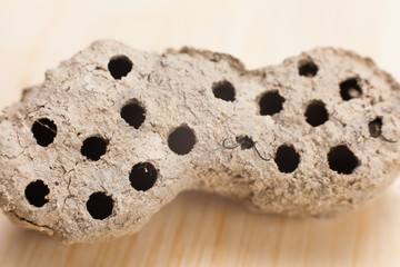 close up of wasp nest on wooden table