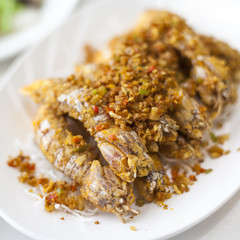 Chinese cuisine pepper mantis shrimp