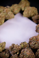 Blank canvas framed by dried cannabis buds, indica and sativa strains