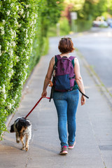 Naklejka na ściany i meble mature woman with Brittany dog on a sidewalk