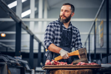 Portrait of a butcher holds an axe and fresh cut meat.