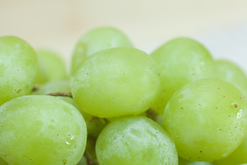 close up of Green grape