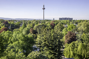 Blick über einen Park in Frankfurt am Main © parallel_dream