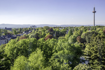 Blick über einen Park in Frankfurt am Main