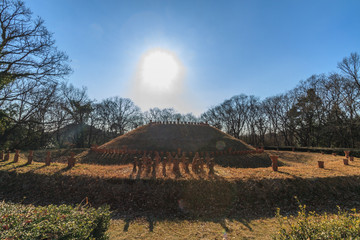 冬の龍角寺古墳群の風景