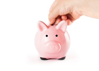 Pink pig and coins isolated