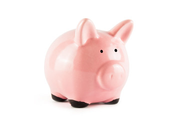 Pink pig and coins isolated