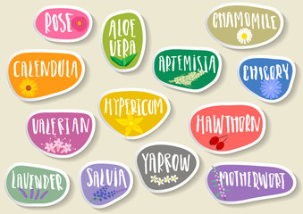 Vector set of trendy paper stickers for medicinal herbs. Various natural organic herbal additives for drinks, soap, shampoo, pharmacy products with handwritten annotation and sketches of plants.