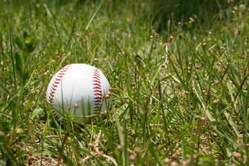 野球のボール