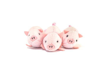 Closeup three little pink pig doll isolated on white background