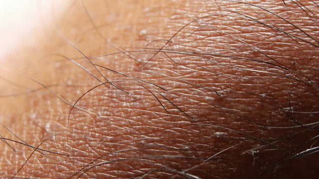 Close up of Human Skin Texture 
