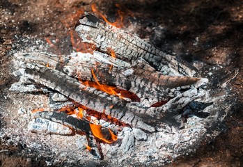 Fire. A bright flame. A breeze on the nature. Forest fires. Texture of smoking coals.