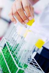 laboratory test tubes, close up