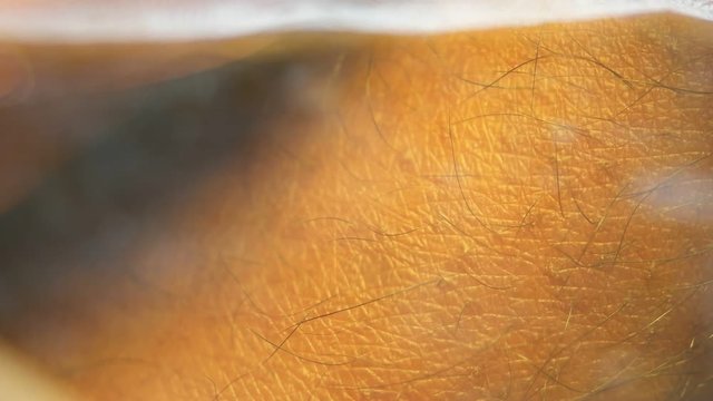 Close up of Human Skin Texture 
