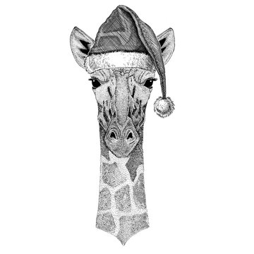 Camelopard, giraffe wearing christmas hat New year eve Merry christmas and happy new year Zoo life Holidays celebration Hand drawn image