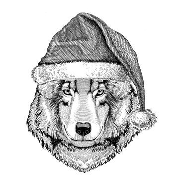 Wolf Dog wearing christmas hat New year eve Merry christmas and happy new year Zoo life Holidays celebration Hand drawn image