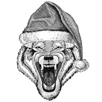Wolf Dog Wild animal wearing christmas hat New year eve Merry christmas and happy new year Zoo life Holidays celebration Hand drawn image