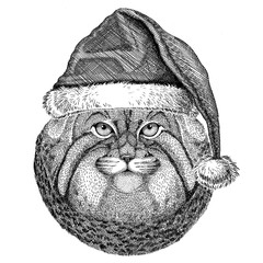 Wild cat Manul christmas hat New year eve Merry christmas and happy new year Zoo life Holidays celebration Santa Claus hat