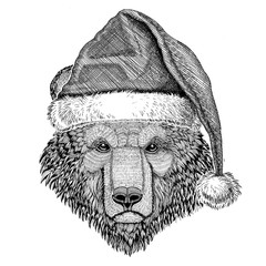 Brown bear Russian bear wearing christmas hat New year eve Merry christmas and happy new year Zoo life Holidays celebration Santa Claus hat