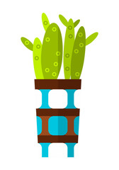 Cactus, succulent. Flat color icon, illustration of potted plant isolated on white background. Object for design