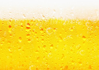 ビールの入った冷えたグラスのクローズアップ