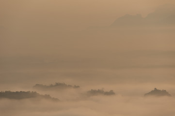 Mountain Mist,Beautiful landscape in the mountains at sunrise,Thailand