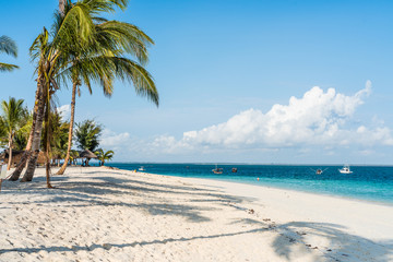 beautiful seascape with palms on a beach and blue sky