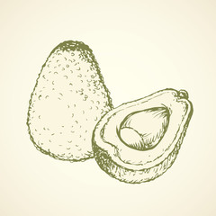 Avocado. Vector drawing