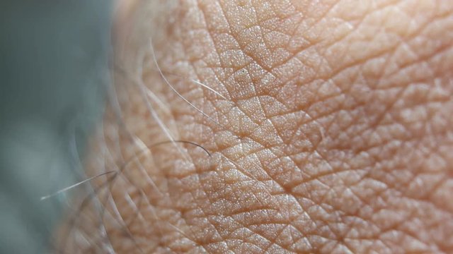 Close up of Human Skin Texture 
