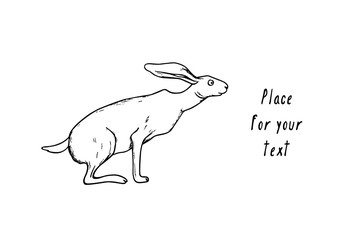Hand drawn hare