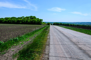 Fototapeta premium Asphalt road near the fields