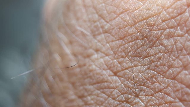 Close up of Human Skin Texture 
