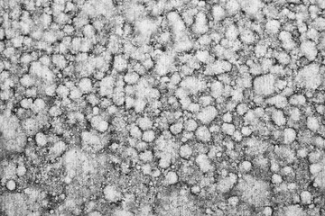 Abstract fungus on the floor, dust on the floor, dirty background